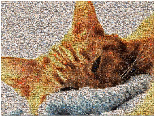 Resource for Everything Photo Mosaic